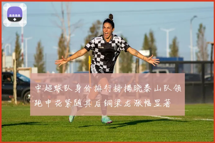 中超球队身价排行榜揭晓泰山队领跑申花紧随其后铜梁龙涨幅显著