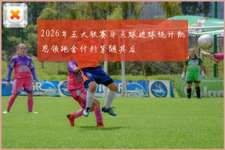 2026年五大联赛非点球进球统计凯恩领跑舍什科紧随其后