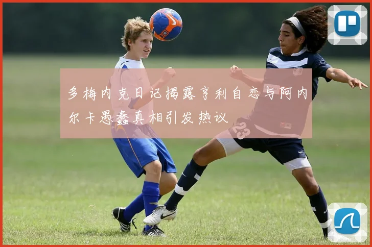 多梅内克日记揭露亨利自恋与阿内尔卡愚蠢真相引发热议