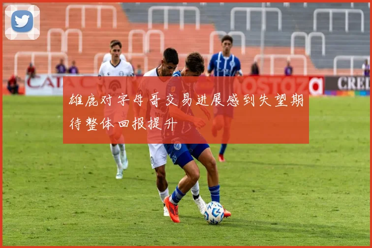 雄鹿对字母哥交易进展感到失望期待整体回报提升